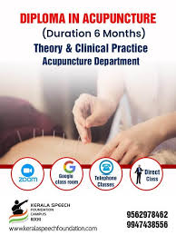 DIPLOMA IN ACUPUNCTURE